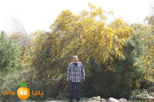 3emwas 0319 (62).JPG